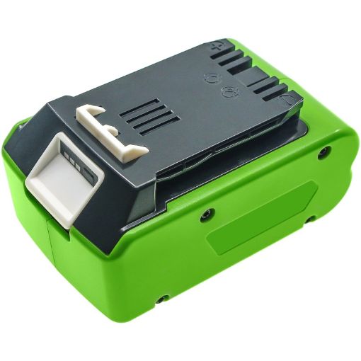 Picture of Battery Replacement Greenworks 24V Charger 2 Slots 2 Amp 29322 29807 29837 for 10-Inch Cordless Chainsaw 2036 130MPH Cordless G24 Sweeper