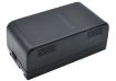 Panasonic VW-VBS2 Battery Replacement for NV-3CCD1 NV-61 - 3